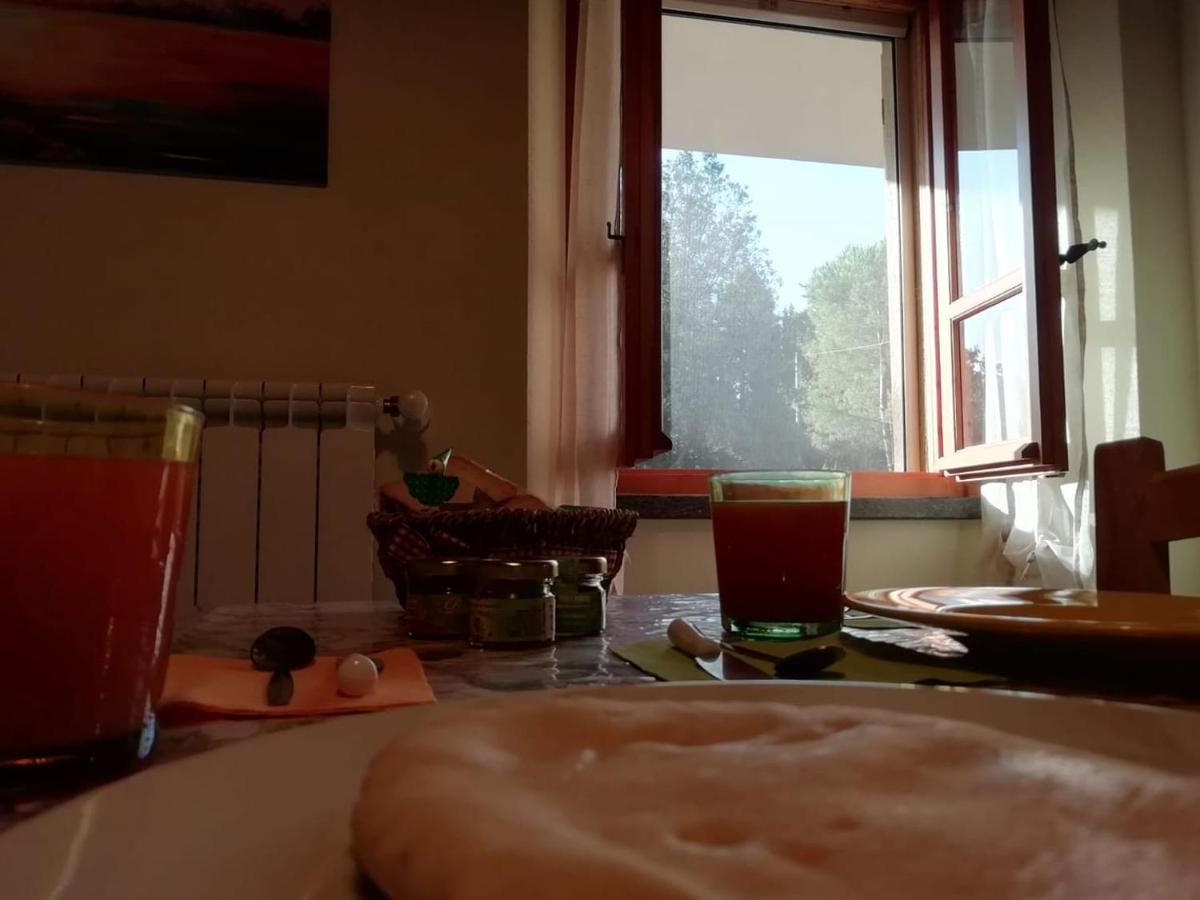 Su Pitiolu - Casa Vacanze Làconi Екстериор снимка